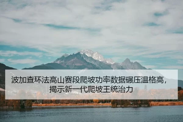 波加查环法高山赛段爬坡功率数据碾压温格高，揭示新一代爬坡王统治力